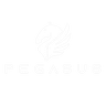 Pegasus Studios
